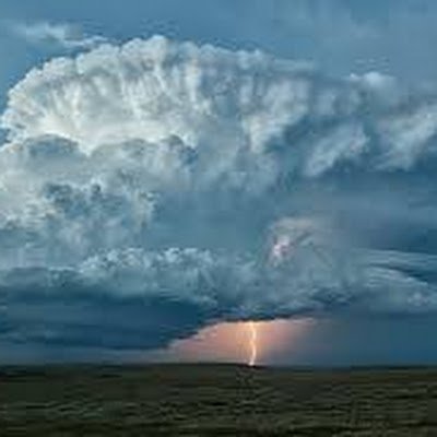 Young, keen birder & wildlife photographer with ASD and  ADHD. Occasionally twitches rare birds. Volunteer Warden for Elmley NNR. Loves thunderstorms.