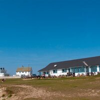 The Lobster Pot (@thelobsterpotuk) 's Twitter Profile