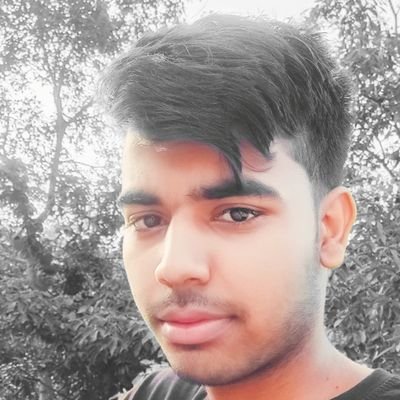 RaviKum11301484's profile picture. bihar se hai