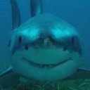 Aiden Reed - @AidenRe94153549 - Twitter