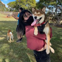 Carol Lu (@cxrolchu) 's Twitter Profile