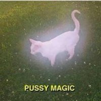 mmcoonn (@mmcoonn) 's Twitter Profile