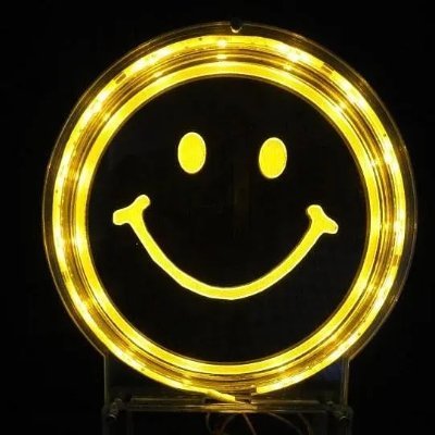 Geeta195's profile picture. Google-India-Challenge-Scholar | coder | aspirant learner