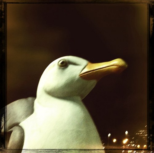 Beadyeyewill's profile picture. 