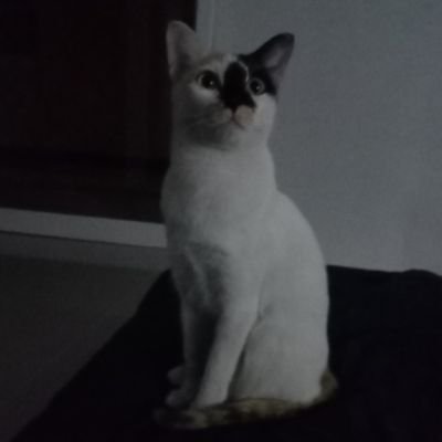NarongRye's profile picture. 