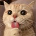 ლYsa_Overshar ÙwÚლ (@ysa_uwu) Twitter profile photo ლYsa_Overshar ÙwÚლ (@ysa_uwu) Twitter profile photo