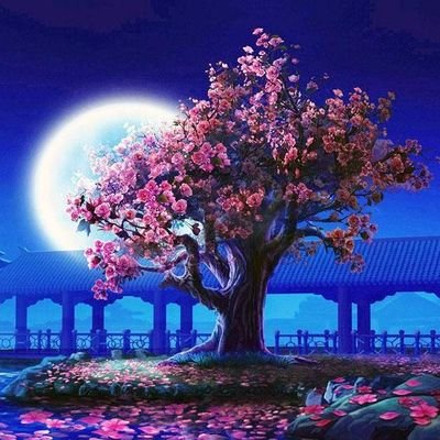 blank___x's profile picture. Humanity is f*****d