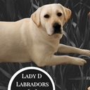 Danielle Crain - @DanielleCrain10 - Twitter