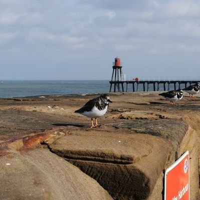 _laura_eliza's profile picture. 