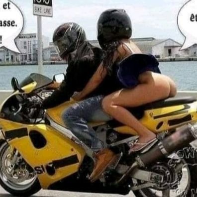 lesebdu45's profile picture. 