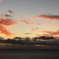 AlbertTatlock (@alberttatlock20) 's Twitter Profile