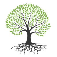 MA Community Health & Healthy Aging Funds (@mahealthfunds) 's Twitter Profile
