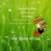 Morning Dew Agricultural Holdings (pty) LTD (@Morningdewagric) Twitter profile photo Morning Dew Agricultural Holdings (pty) LTD (@Morningdewagric) Twitter profile photo