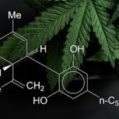 CBDSPAIN11's profile picture. Distribución diaria de canabis legal por todo España 🇪🇸👍 disponemos de altas variedades de calidad excelente 😜 envíos discretos y máxima seriedad +info prv