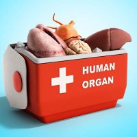 Solid Organ Transplant RNs (@9hudsonnurses) 's Twitter Profile Photo Solid Organ Transplant RNs (@9hudsonnurses) 's Twitter Profile Photo