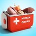 Solid Organ Transplant RNs (@9hudsonnurses) Twitter profile photo Solid Organ Transplant RNs (@9hudsonnurses) Twitter profile photo