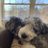 Amy Carlson Gustafson