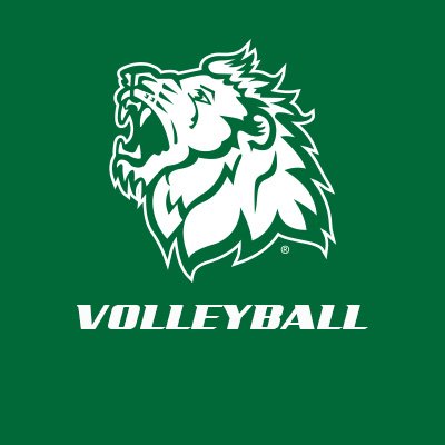 Official Twitter Account of Missouri Southern State University Volleyball. IG: @mssuvb