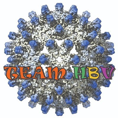 Cryo-EM, HBV, Alphavirus, Virus Assembly. *Opinions are my own*