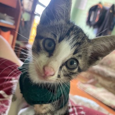 zOYtQTRzMzcKWjh's profile picture. 