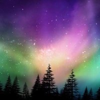 ASMR LIFE'S AMBIENCE (@lifesambience) 's Twitter Profile