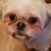 Tracy Hadlow (@hadlow_tracy) Twitter profile photo Tracy Hadlow (@hadlow_tracy) Twitter profile photo