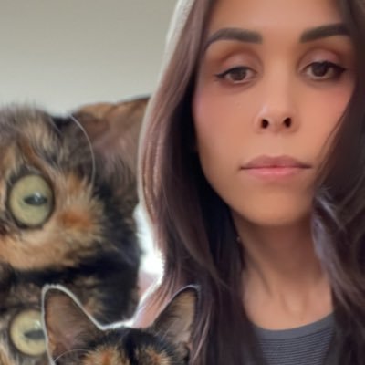 erinfinnerty's profile picture. chapter 3: parabellum