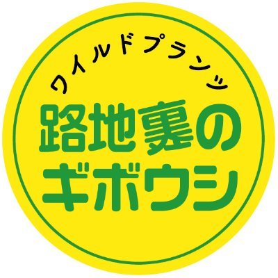 ネットショップも始めました♪プロフィールご覧下さい。「ワイルドプランツ路地裏のギボウシ」。ギボウシ、ヤマシャクヤク、キキョウ、ヤマユリ、斑入り植物、多肉植物、エケベリア、希少山野草の育種、販売をしています。ニャンコ、浜田省吾も大好き。遊びに来てね♪月・火・水曜日定休日