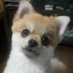 ãããã (@t6nc1xoy3srdkyo) Twitter profile photo ãããã (@t6nc1xoy3srdkyo) Twitter profile photo