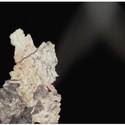 Lazubu20's profile picture. 🔺️ You, Me, Trees