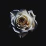WhosLi4m's profile picture. previous @SUPEREVILGANG igl
lft lmk