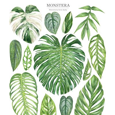 greenrobot113's profile picture. 