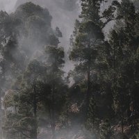 达摩院 (@alibabadamo) 's Twitter Profile