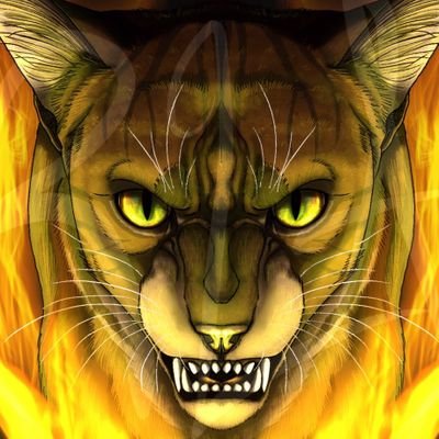 Brann |Inactive Acct|さんのプロフィール画像