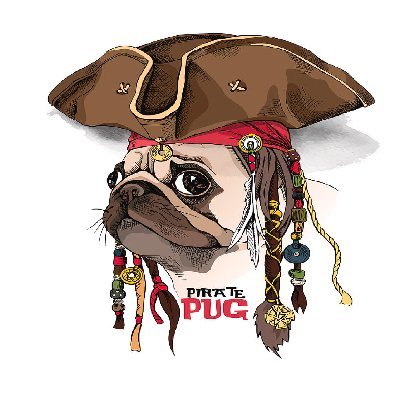 the pirate pug