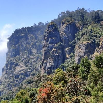 mCva09's profile picture. Pathologist