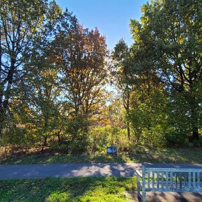 215keb's profile picture. Abject contrarian.