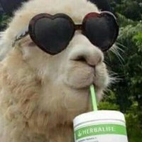 greek samantha jones (@creamcheeselady) 's Twitter Profile Photo greek samantha jones (@creamcheeselady) 's Twitter Profile Photo