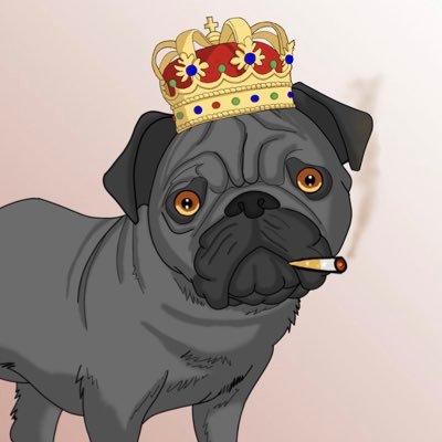 2000 Golden Pugs -1 Pug = 1 ticket to free project WL’s and nodes Weekly - Free Airdrops weekly - Over $20,000 given out weekly 🦴 20% donated to dogs in need❤️