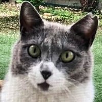 FRIDAY NIGHT Company (@friday_night_co) 's Twitter Profile Photo FRIDAY NIGHT Company (@friday_night_co) 's Twitter Profile Photo