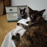 Farida Kadir Maidin (@faridamaidin) 's Twitter Profile Photo Farida Kadir Maidin (@faridamaidin) 's Twitter Profile Photo