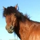 duaqud01's profile picture. 조승우권정열구교환쏜애플불한당더스크우드