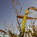 Terry Drew - @Drew3Drew - Twitter