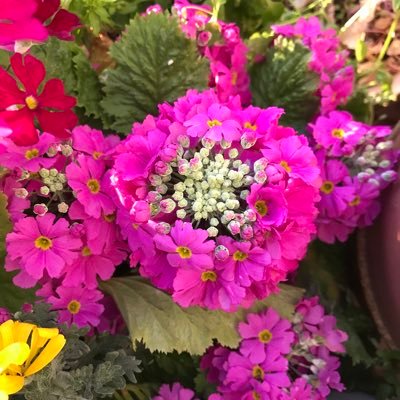 kouyo3's profile picture. 