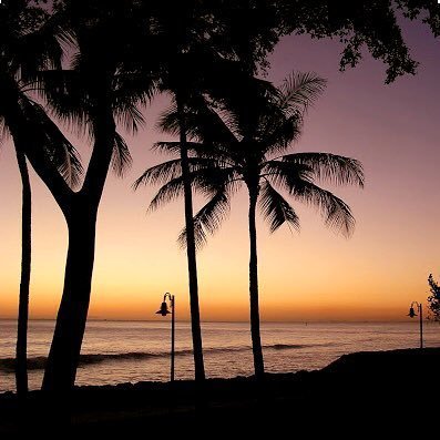 Hawai’i No Ka Oi 🤙🏼 | Hawaii Athletics | #GoBows | Yankees ⚾️ #RepBX | Forever Don Mattingly fan | #NPB | #カープ #Carp | #Bリーグ | Lakers | #UFC