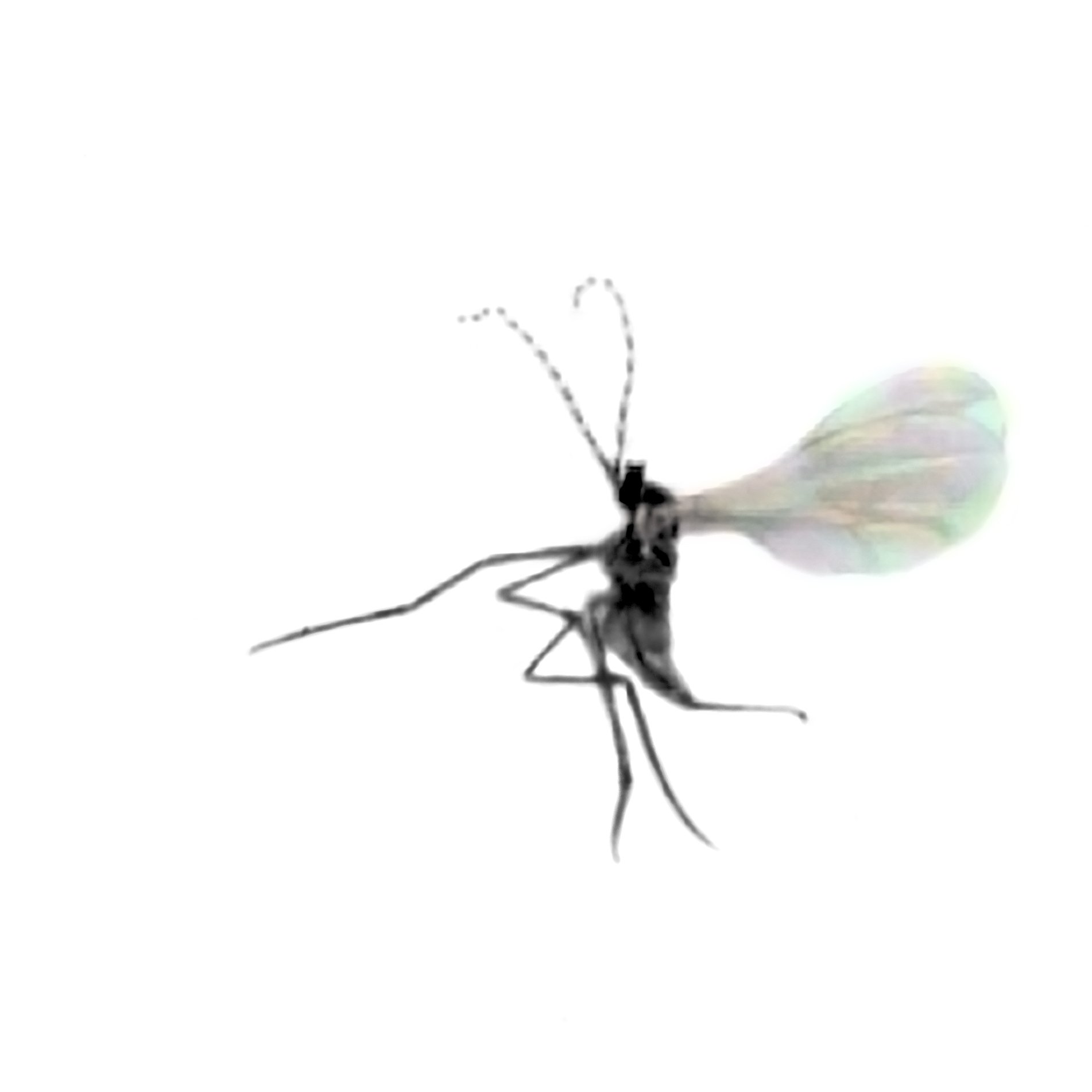 kpennino's profile picture. https://t.co/4THGlPCoQr