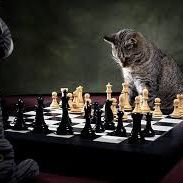 faslovemeheart's profile picture. Life must go on