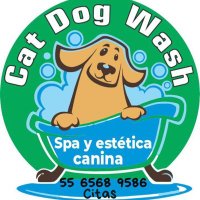 Catdog Wash (@catdogwash) 's Twitter Profile