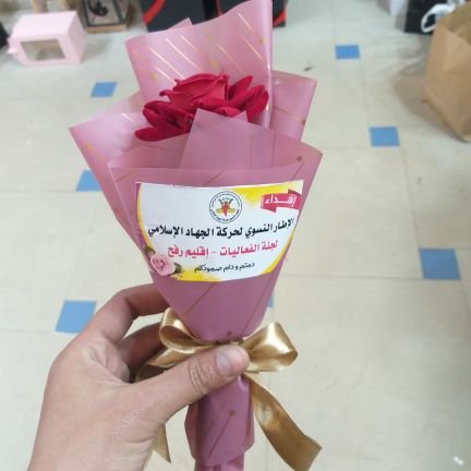 YB8kgQ7dTTFOTnJ's profile picture. 