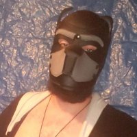 fuzzychubbycub69 (@fuzzychubycub69) 's Twitter Profile